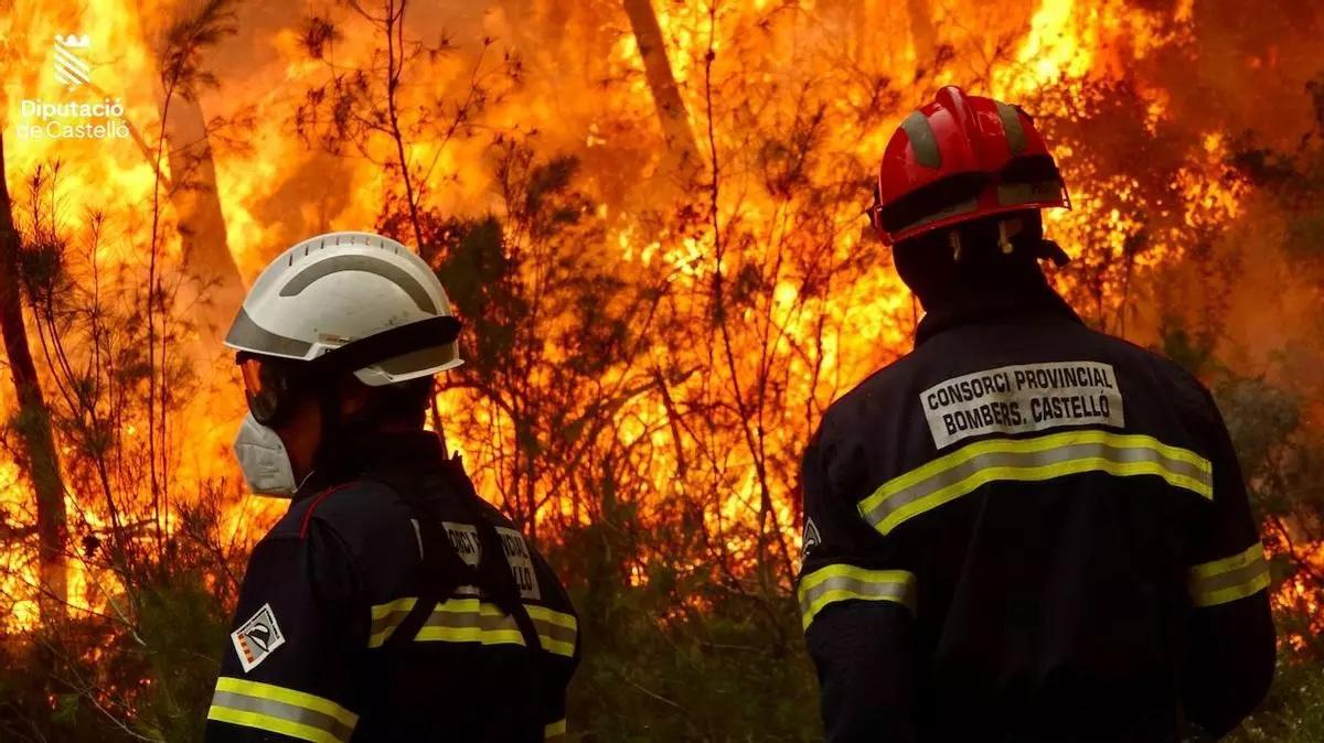 Bomberos de la Diputación tratando de sofocar las llamas, hace tres años.