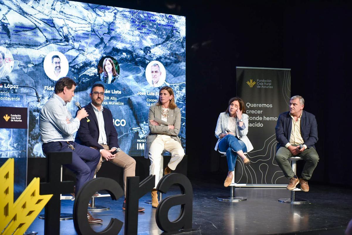 Proyectos de Impacto