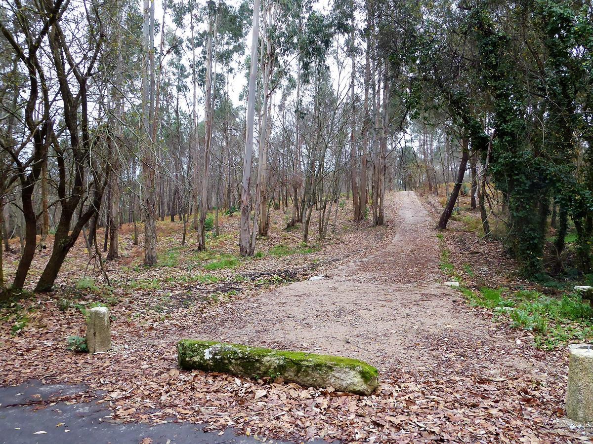 Una de las entradas al bosque de Xaz.