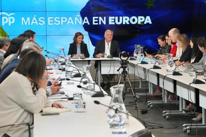 Esteban González Pons y Carmen Fúnez junto al resto del comité de campaña de las europeas.