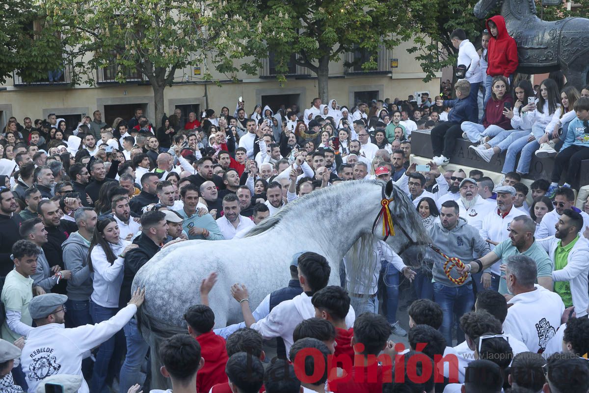 Entrega de premios del concurso de 'Caballo a pelo' en Caravaca