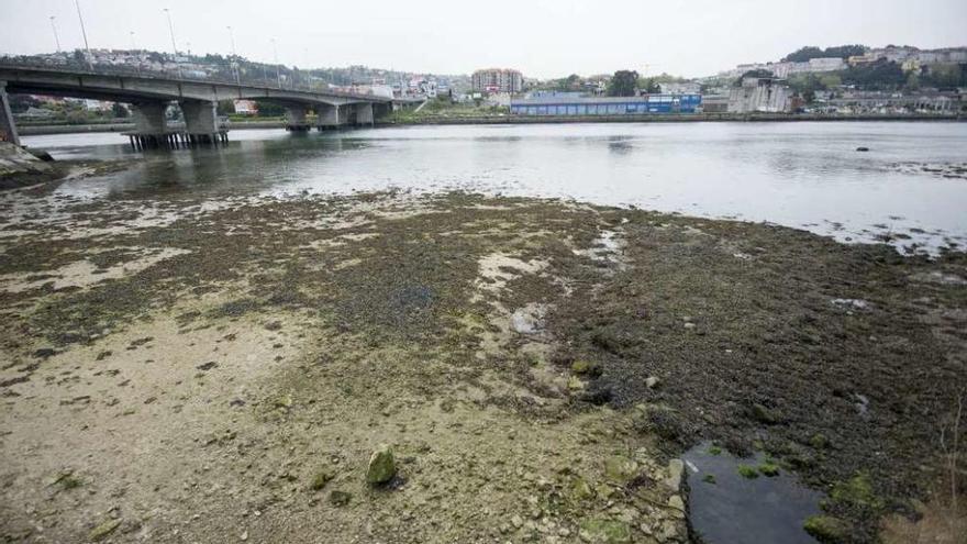 Imagen de la ría de O Burgo junto al puente de A Pasaxe.