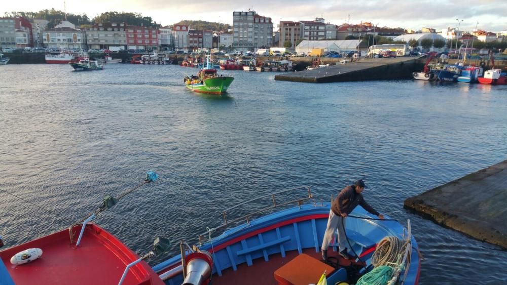 Campaña del centollo en Arousa