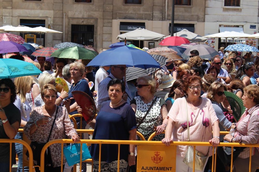 Besamanos a la Virgen de los Desamparados