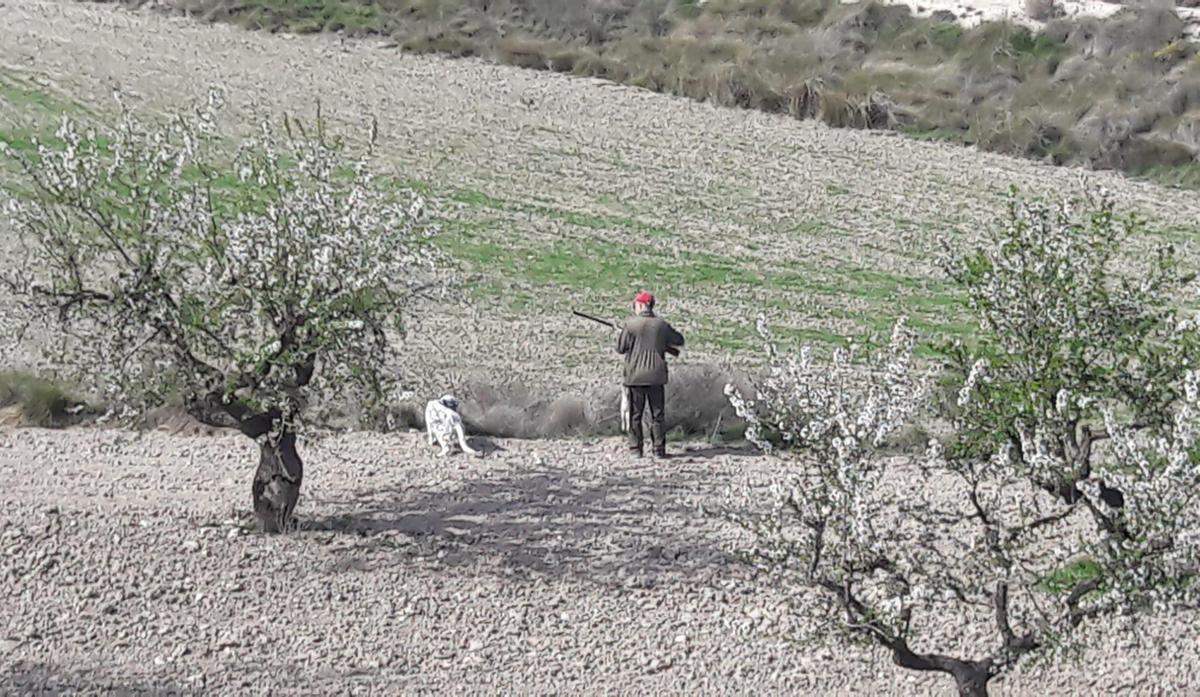 Un cazador en un coto en las afueras de Zaragoza.