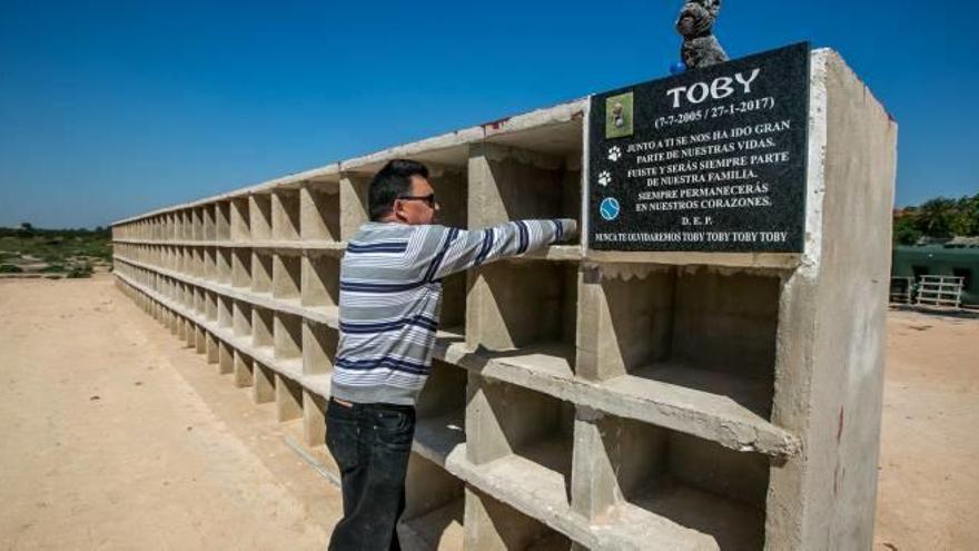 El cementerio para mascotas con varios de los nichos.