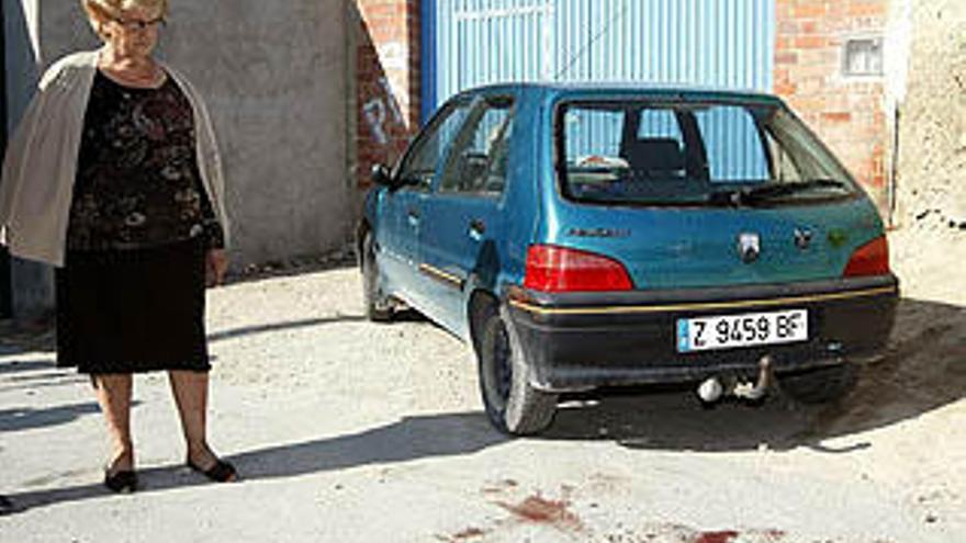 Un joven fallece por disparos de escopeta en Aragón