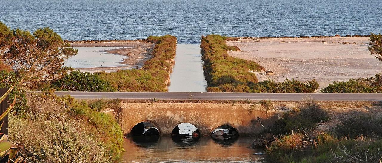 Sacos de grava instalados de forma provisional en sa Sequi para amortiguar la entrada de agua a s’Estany Pudent.