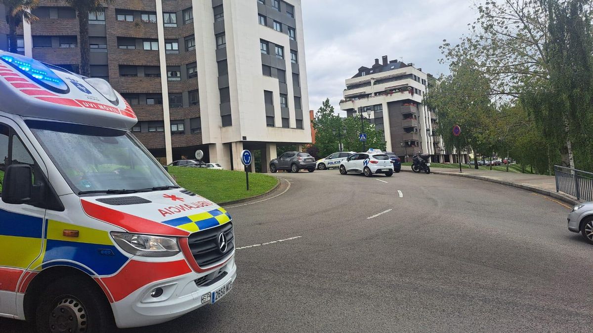 La ambulancia y varios coches policiales en la zona de los hechos.