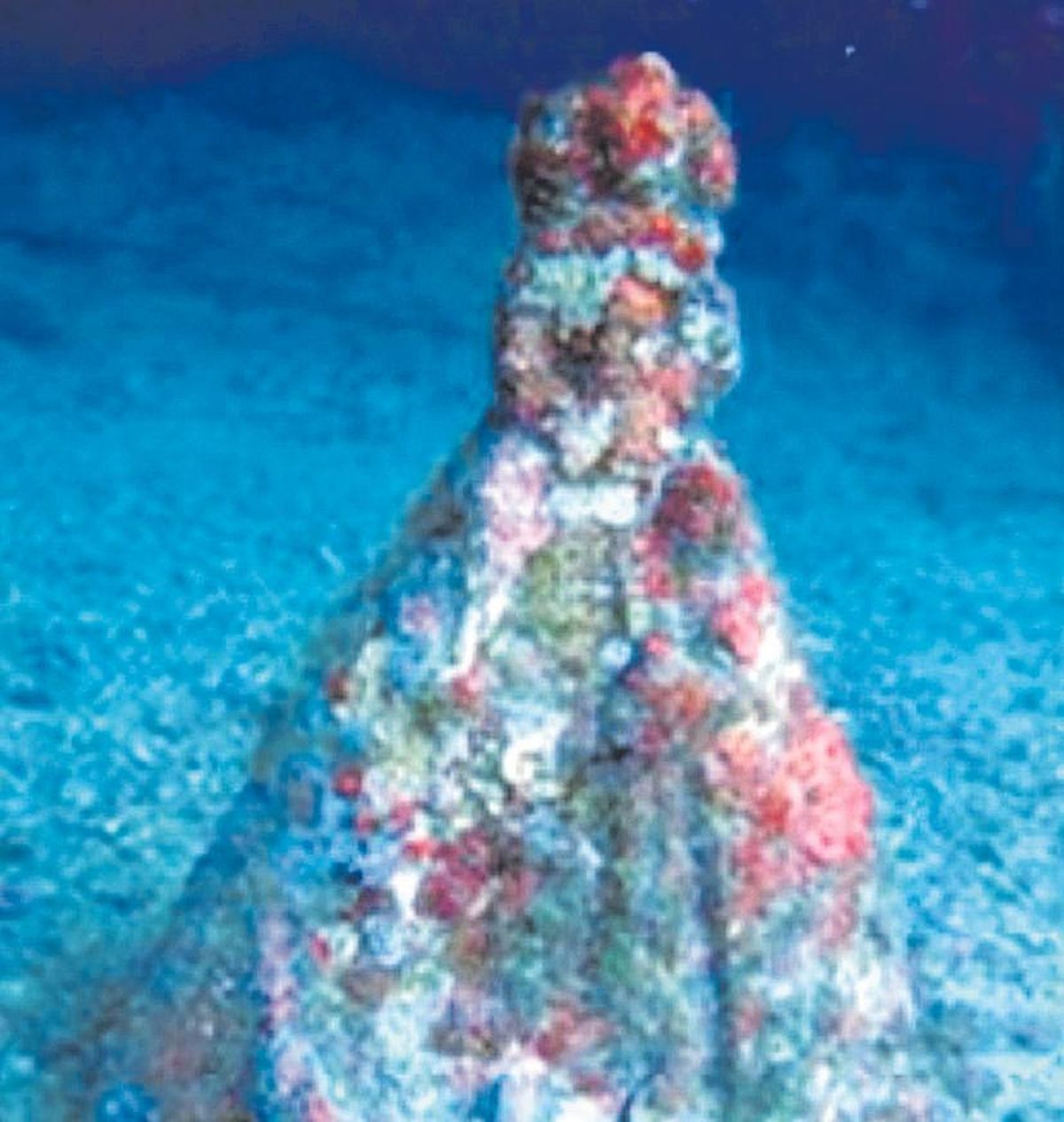 La escultura de la Virgen, llena de incrustaciones de vida marina, en 2008. La placa de mármol, con los datos del club, desapareció pocos años después. Es probable que se desprendiera de la ubicación en la que se fijó y esté enterrada en el lecho marino.