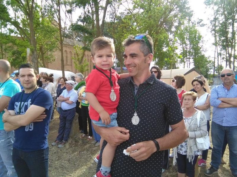 Romería del Cristo de las Batallas en Toro