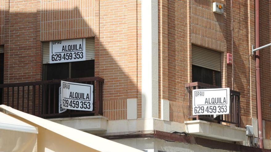 Ayudas máximas para el alquiler de 806 euros a las personas que vivan solas