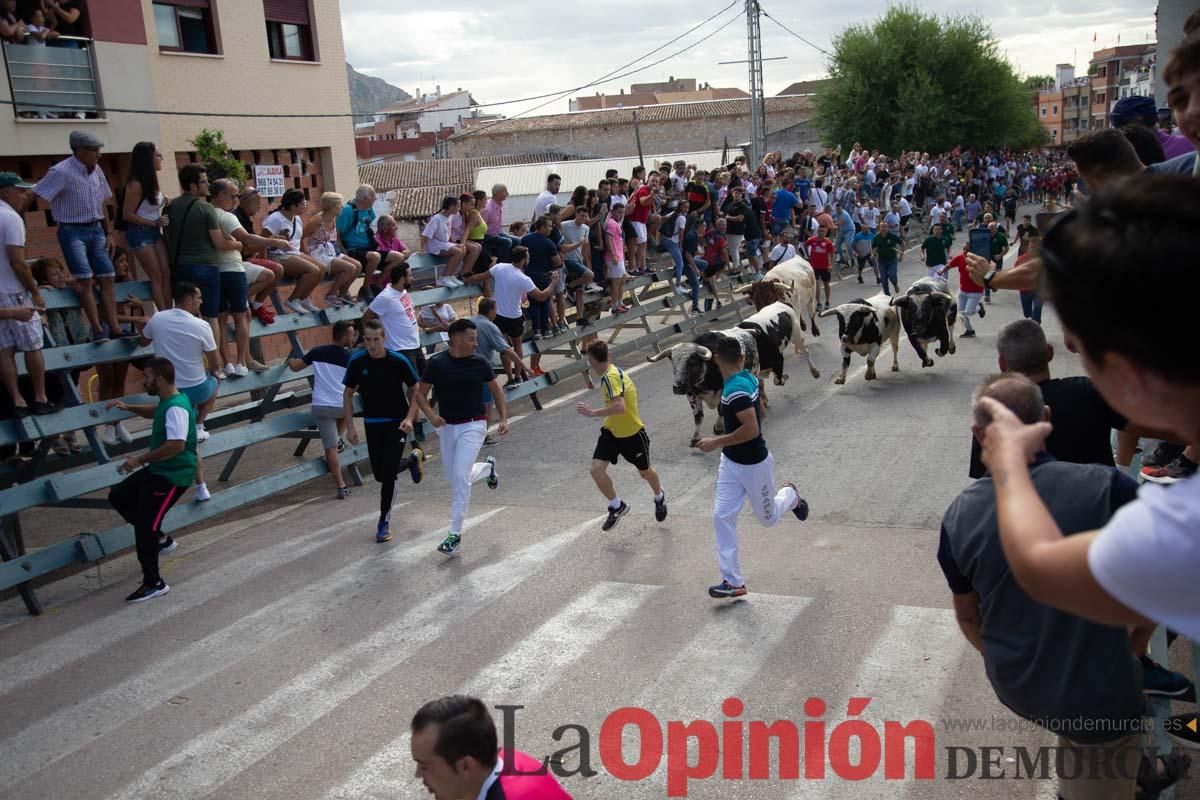 Primer encierro de la Feria del Arroz de Calasparra