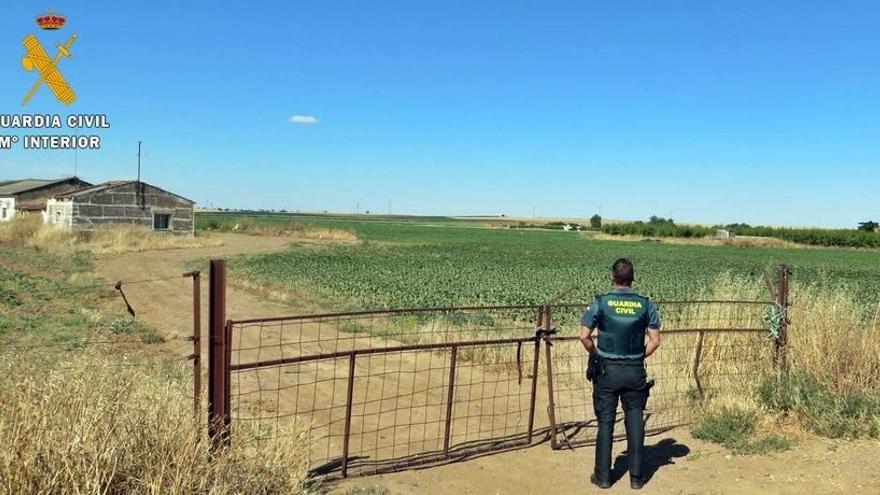 Investigado un vecino de La Albuera por robar gasoil bonificado en tres explotaciones agrícola
