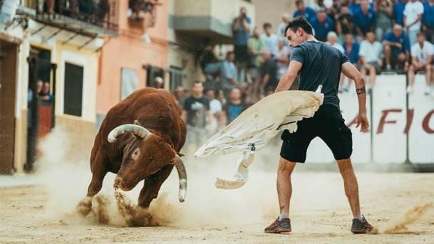 Mueren dos toros cerriles en  Faura tras rodarlos por la tarde