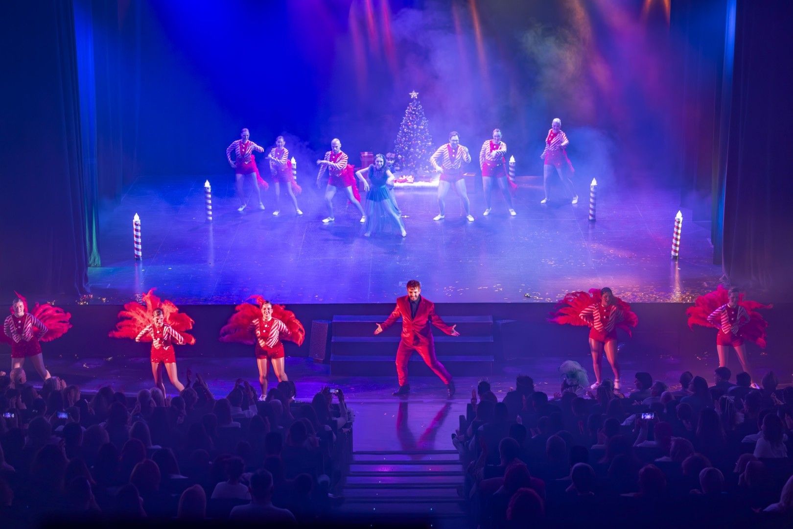 Las mejores imágenes del pregón y la gala del Carnaval 2026 de Torrevieja están aquí