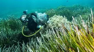 El GEN-GOB pone en marcha ‘Snorkel con conciencia’ para amar el mar