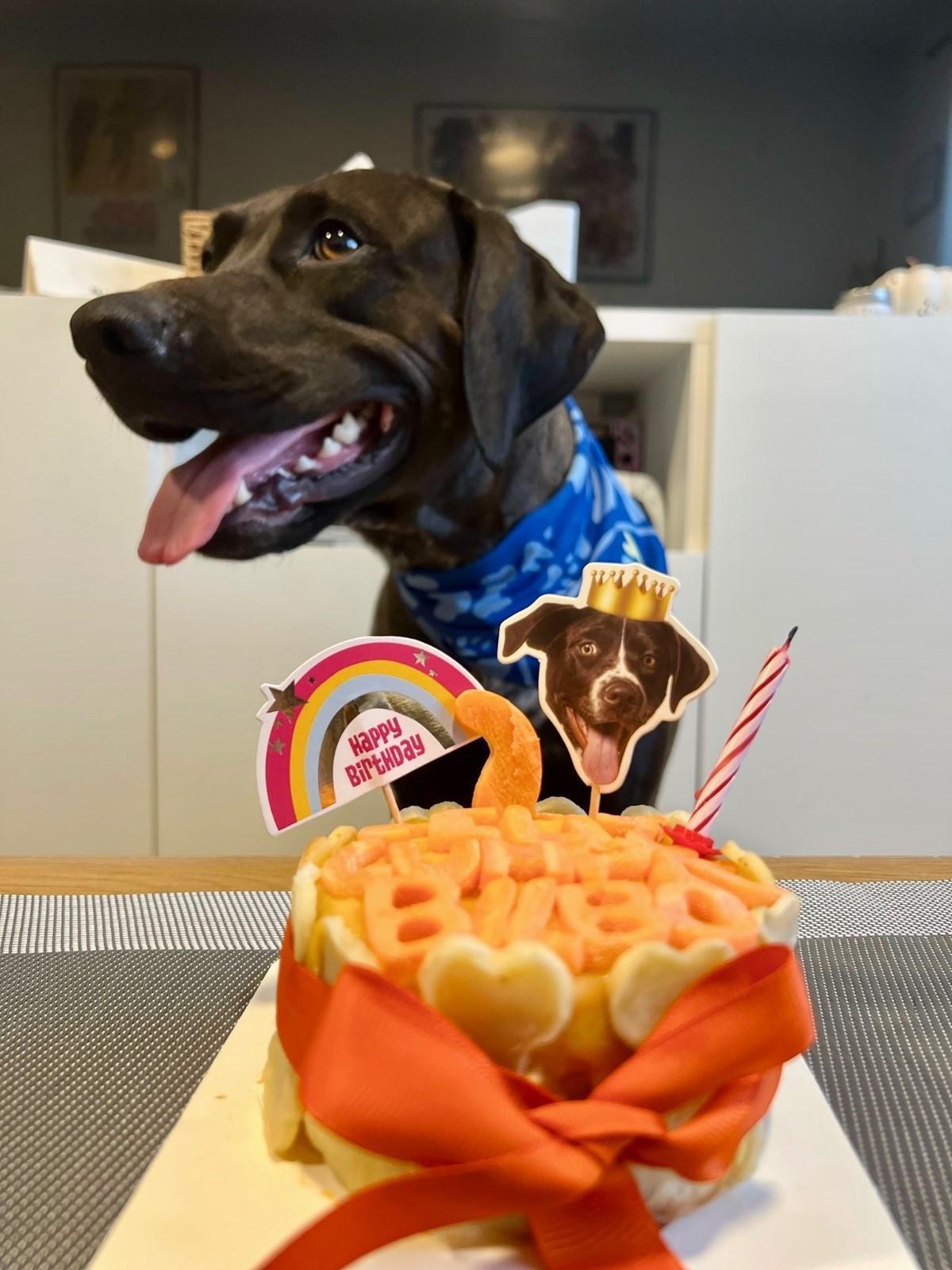 El principal atractivo de Patas & Ladridos es, sin duda, su oferta gastronómica.
