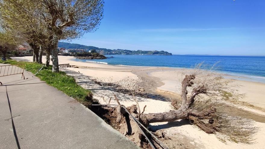 El tramo del paseo que se hundió en febrero, con uno de los árboles caídos sobre la playa.