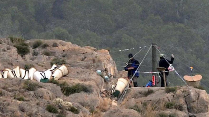 La Brigada de Erradicación ha instalado un sistema de cables para transportar los cactus en cestas.