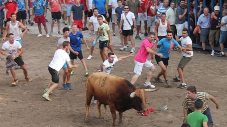 Los directores taurinos podrán gestionar los horarios de exhibiciones