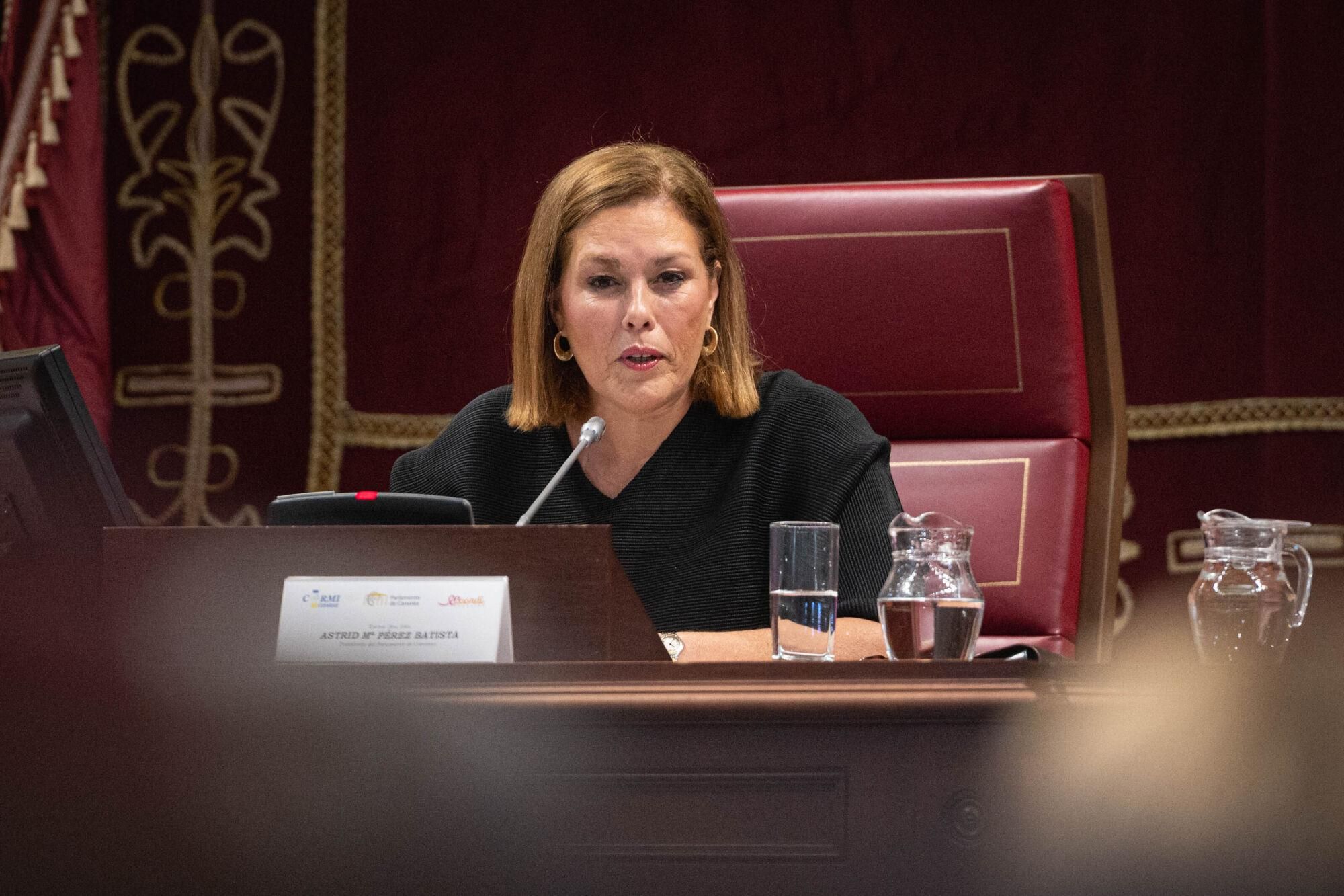 Mujeres con discapacidad en el Parlamento de Canarias