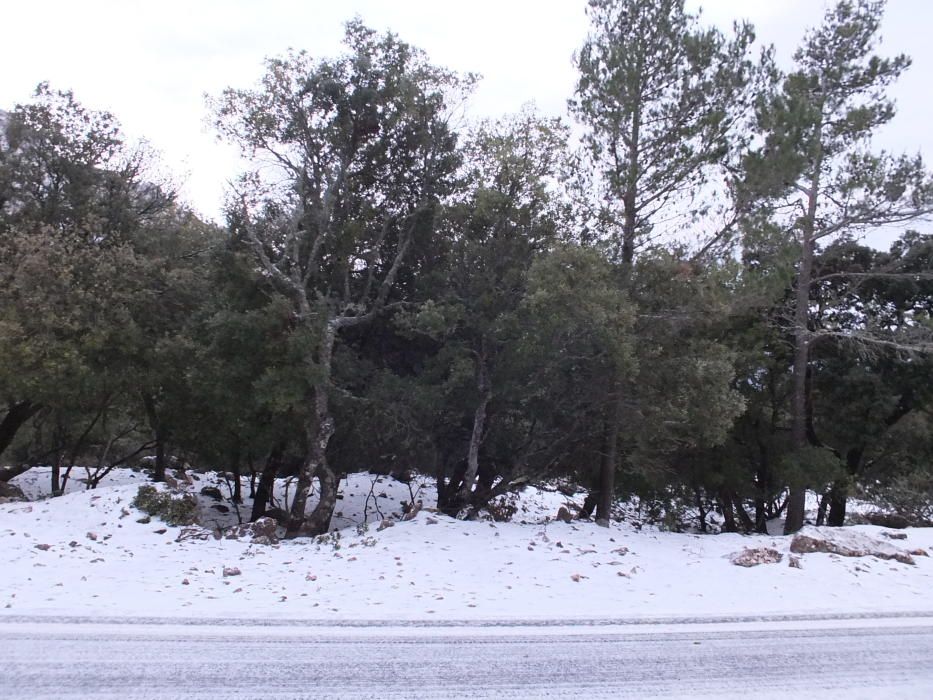 La nieve llega a Mallorca