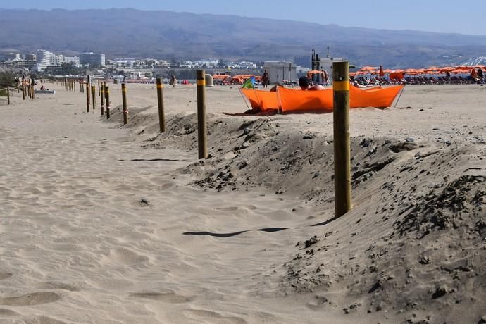 13/05/2019 MASPALOMAS. SAN BARTOLOME DE TIRAJANA. El presiddente del Cabildo de Gran Canria, Antonio Morales, y el consejero de Medio Ambiente y Emergencias, Miguel Ángel Rodríguez, informan del inicio de la segunda fase del proyecto para la recuperación de las dunas de Maspalomas, Masdunas, pionero en el mundo por sus carcterísticas .    Fotógrafa: YAIZA SOCORRO.  | 13/05/2019 | Fotógrafo: Yaiza Socorro