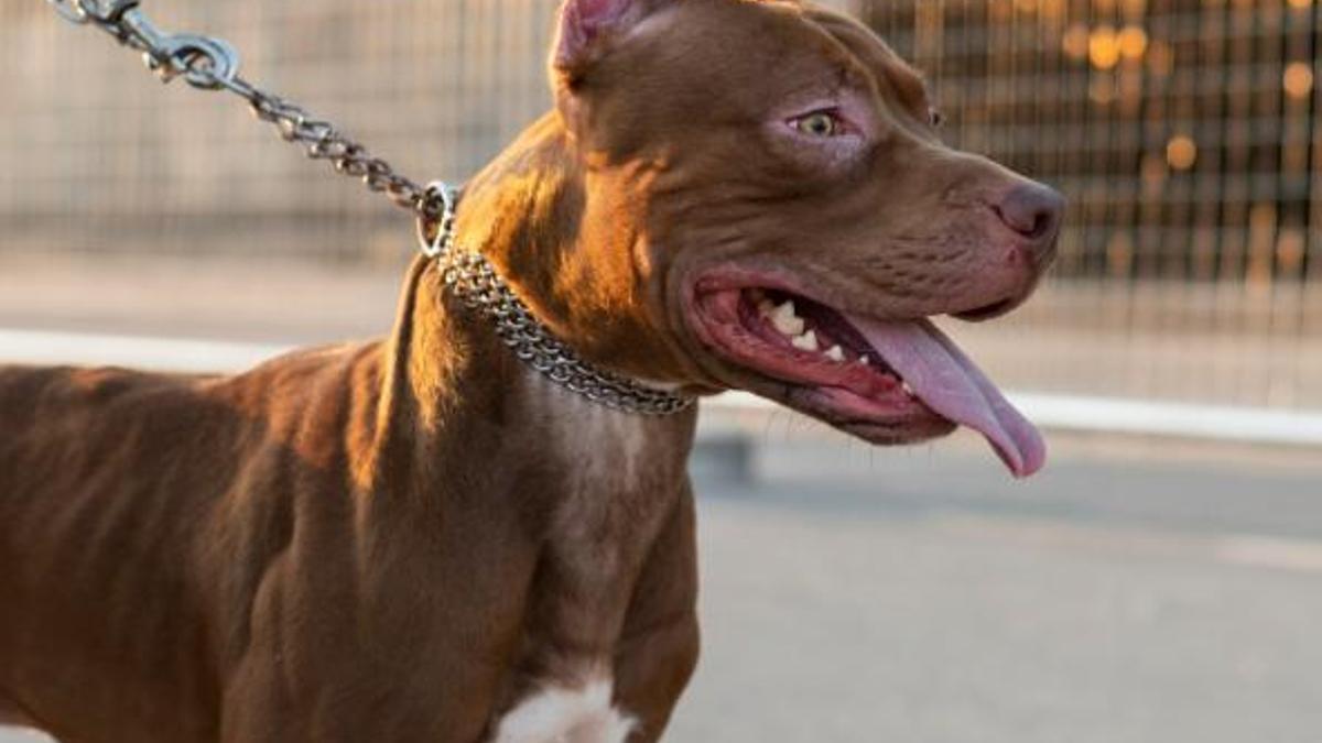 No du morrió a les zones comunes? Això és el que podeu fer