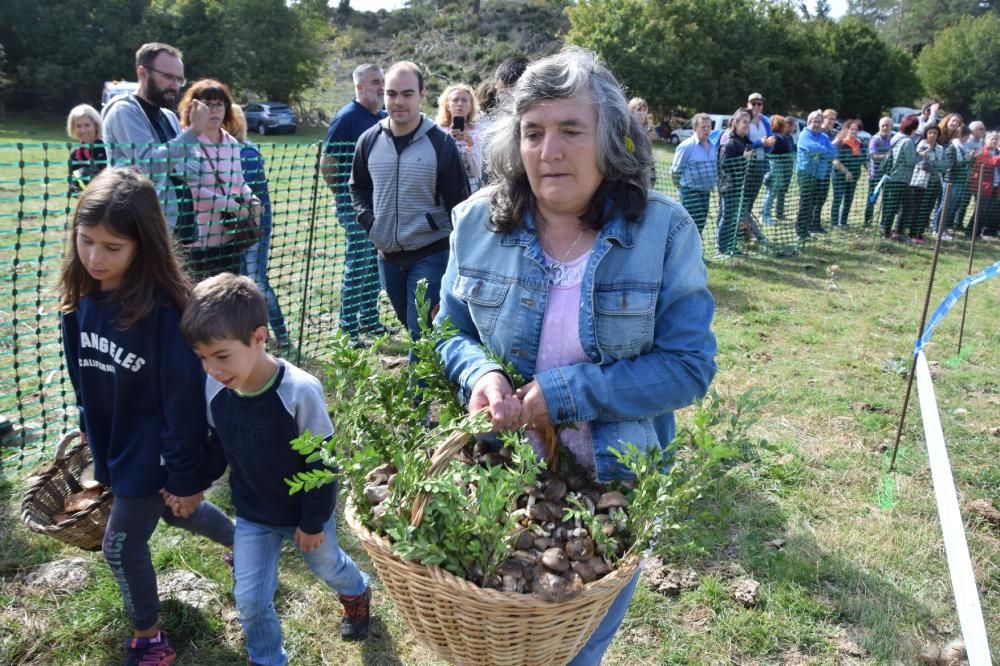 Concurs boletaire de Puigventós