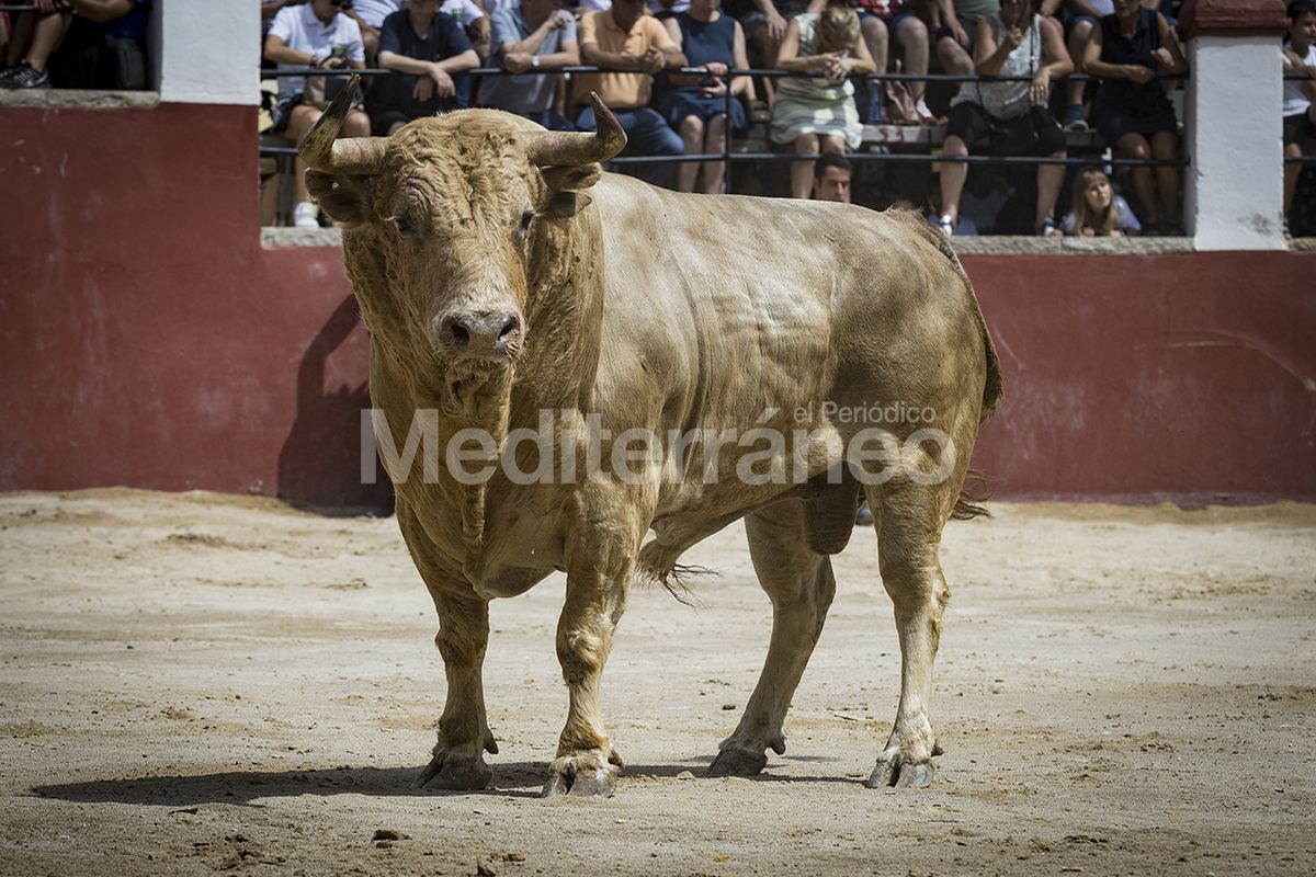 Benassal: Toda la comarca se vuelca con las fiestas