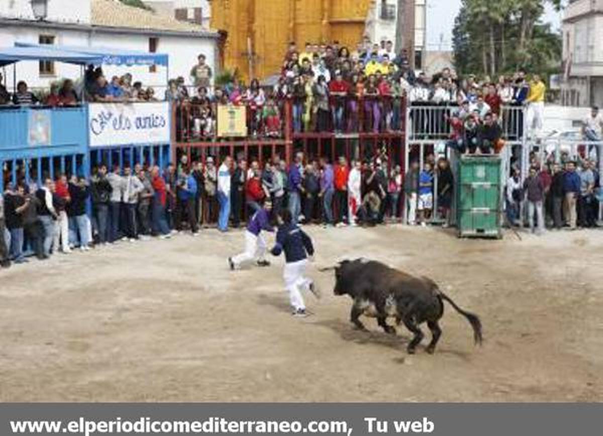 GALERÍA DE FOTOS - Almassora continua con su semana taurina