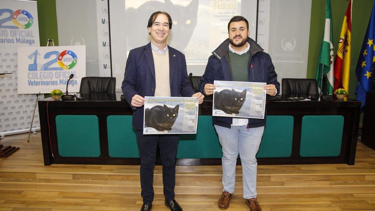 El Palacio de Congresos albergará el 9 de abril una jornada dirigida a la ciudadanía para explicar el funcionamiento de las colonias felinas y cómo afecta la nueva ley de bienestar animal a su funcionamiento