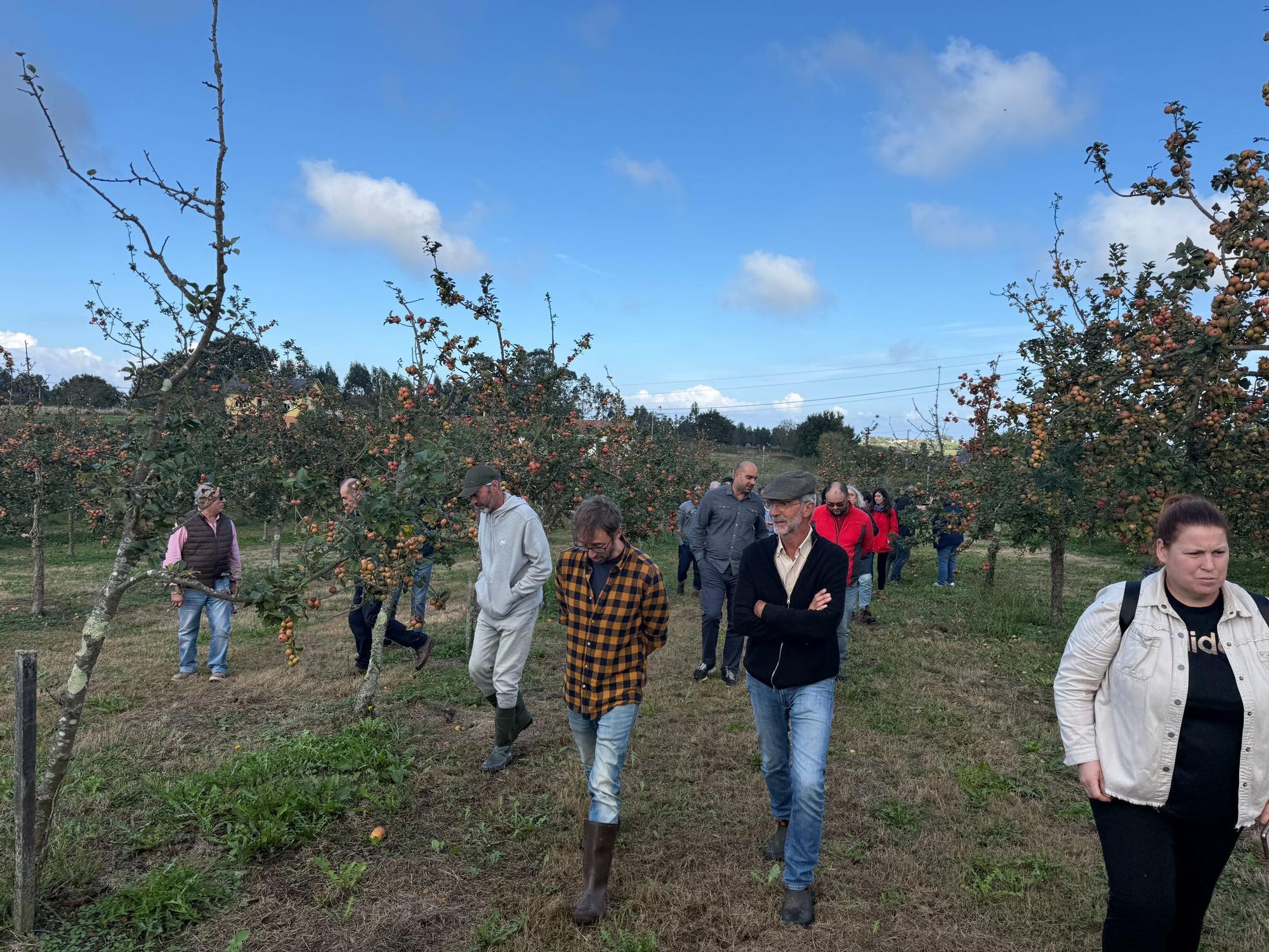 El SERIDA explica sobre el terreno las medidas de protección contra las plagas de roedores en pomaradas