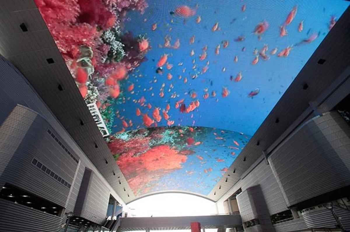 Una enorme pantalla LED cobreix el sostre del pavelló internacional de l’Expo 2012 a Yeosu (Corea del Sud).