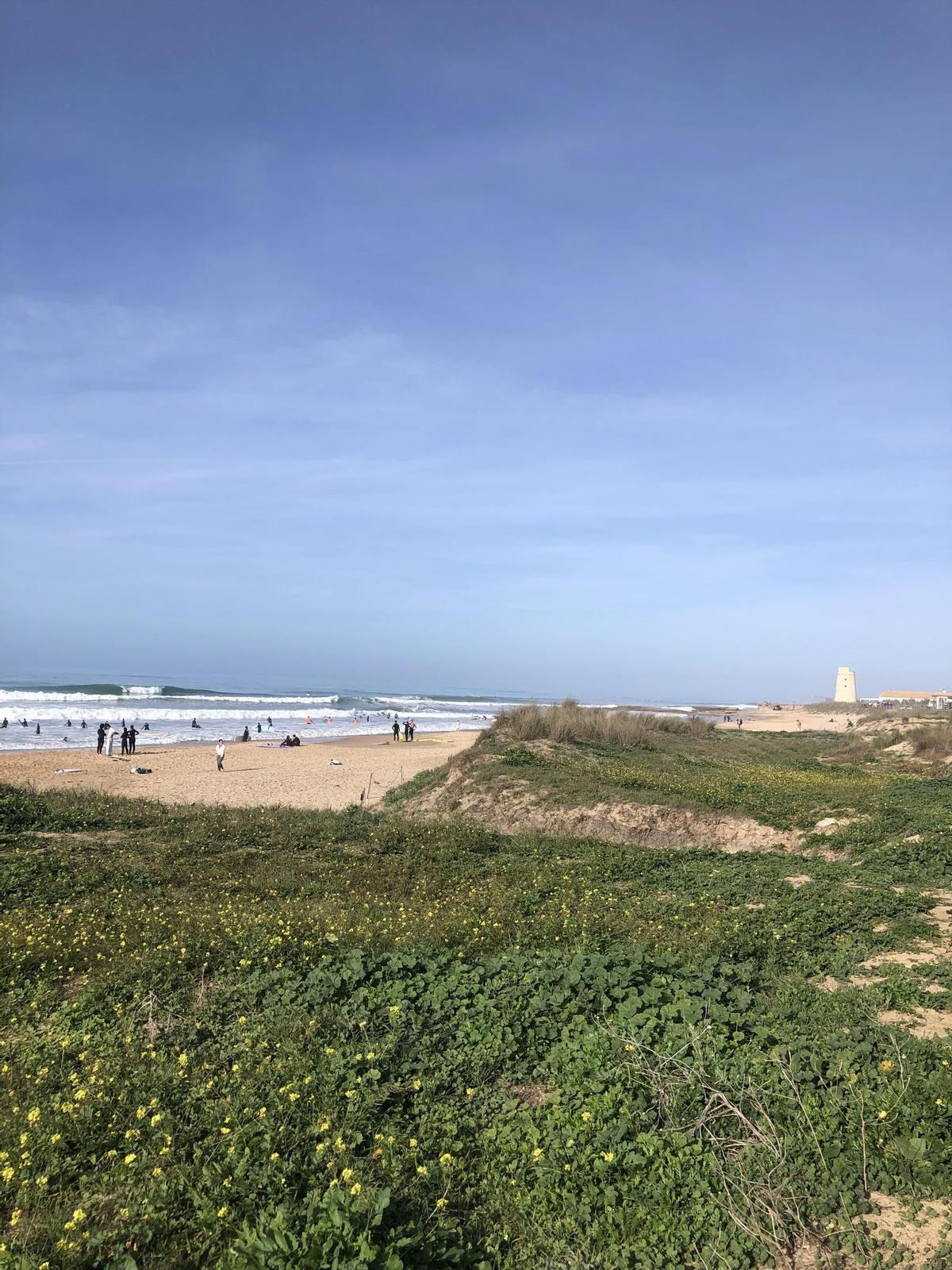 Playa El Palmar