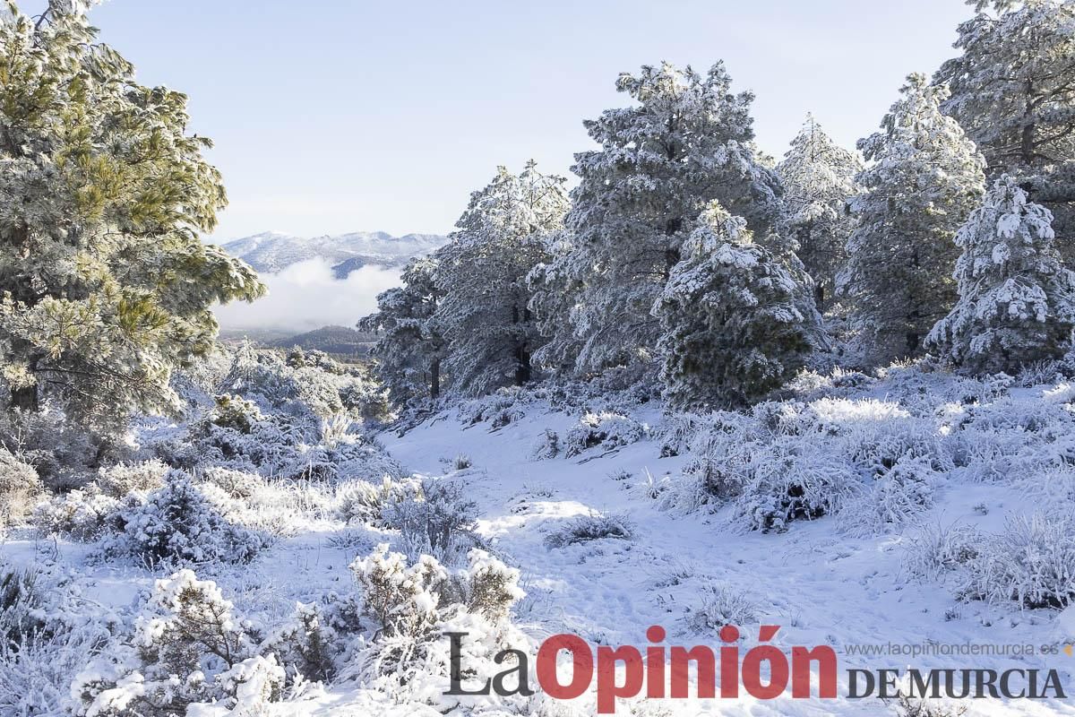 Descubre dónde queda acumulación de nieve en la Región de Murcia