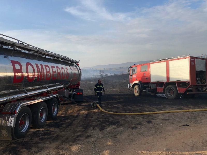 Imágenes del incendio forestal de Grisuela.