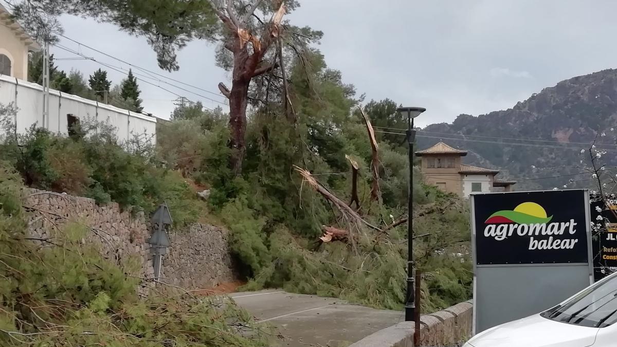 Los estragos de 'Hortense' en Mallorca