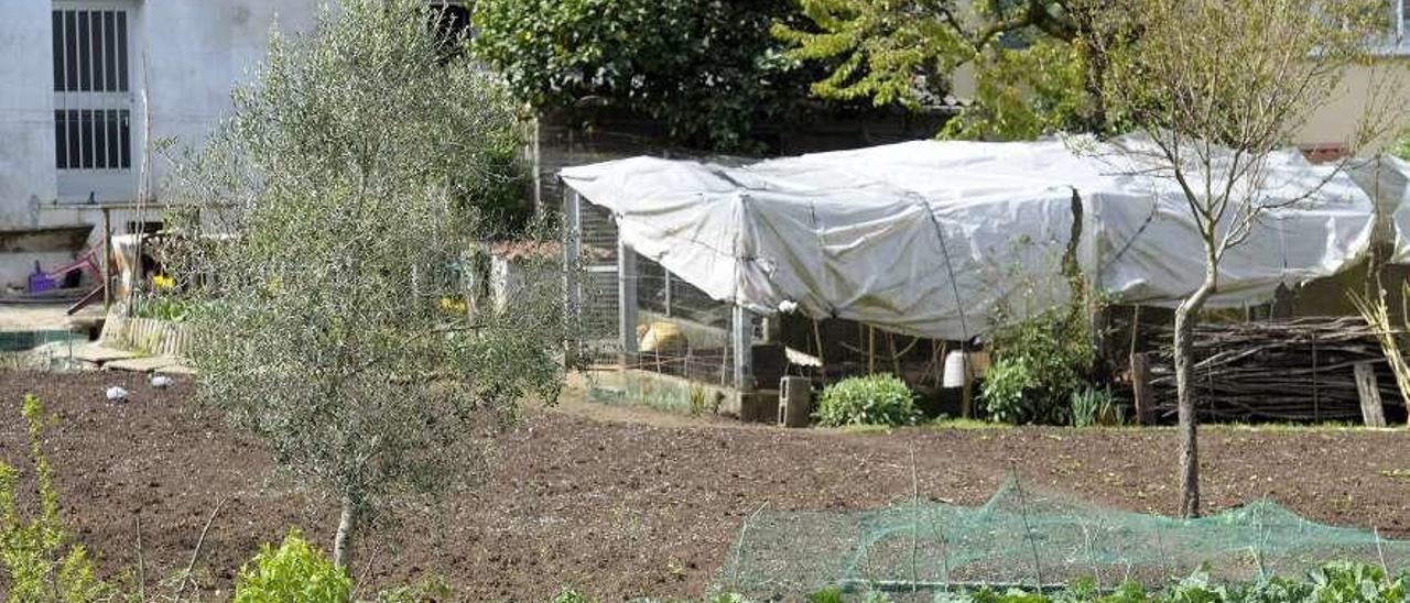 Frutales y cultivos de huerta en una parcela del casco urbano de Lalín. // Bernabé/Javier Lalín