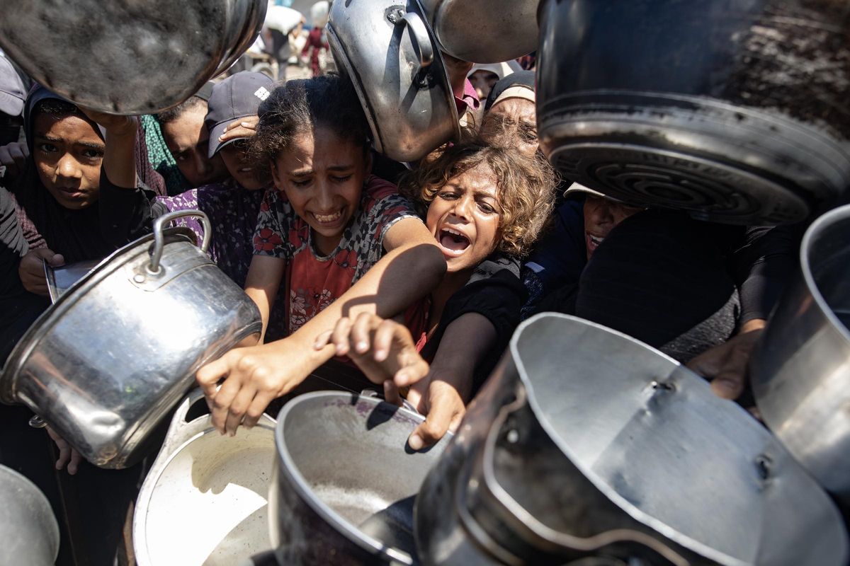 Vuit persones moren d’inanició a Gaza en les últimes 24 hores Vuit persones moren d’inanició a Gaza en les últimes 24 hores