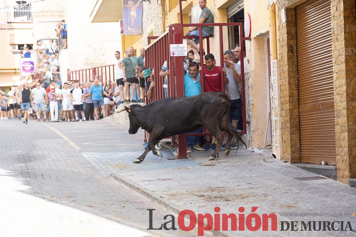 Séptimo encierro de las Fiestas de Moratalla