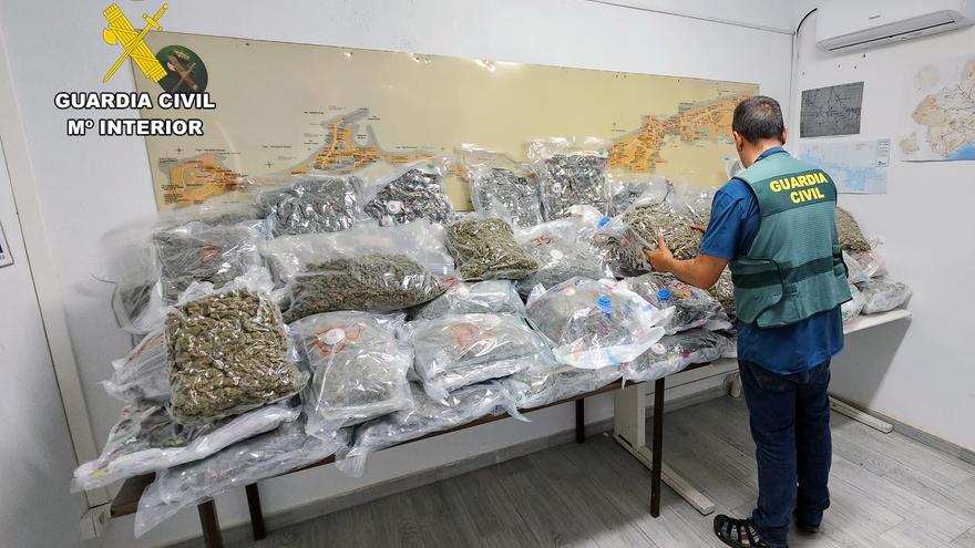 Desmantelan en Los Nietos una &#039;guardería&#039; de marihuana con 200 kilos de droga
