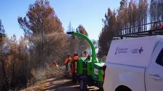 Generalitat trabaja para la recuperación de la zona afectada tras el incendio de Segorbe:  Este es el plan de trabajo, con 685.000 euros