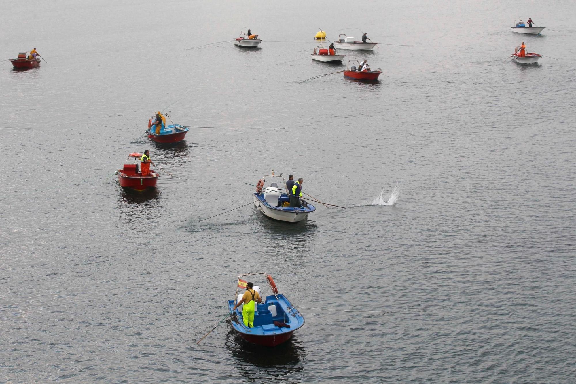 Así comenzó otra preocupante y desconsoladora campaña para el libre marisqueo en Arousa.