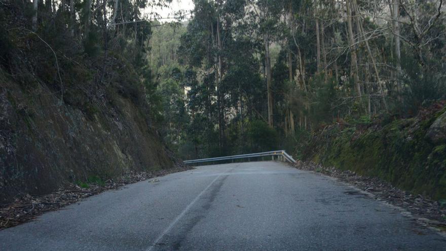 El Bosque Encantado, atravesado por un polémico vial asfaltado que no figura ni en el Catastro