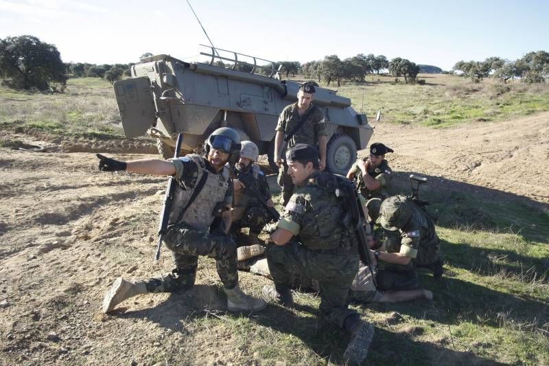 Ejercicios tácticos de la Brigada Guzmán el Bueno en Cerro Muriano