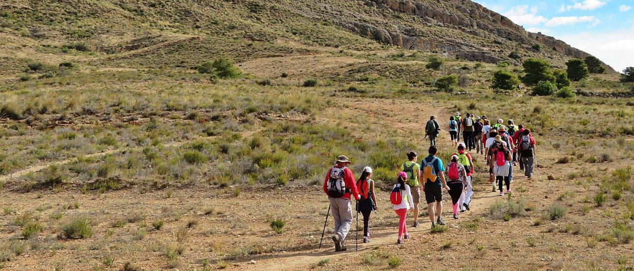 Varias personas realizan un itinerario medio ambiental en el paraje de El Sabinar. | INFORMACIÓN