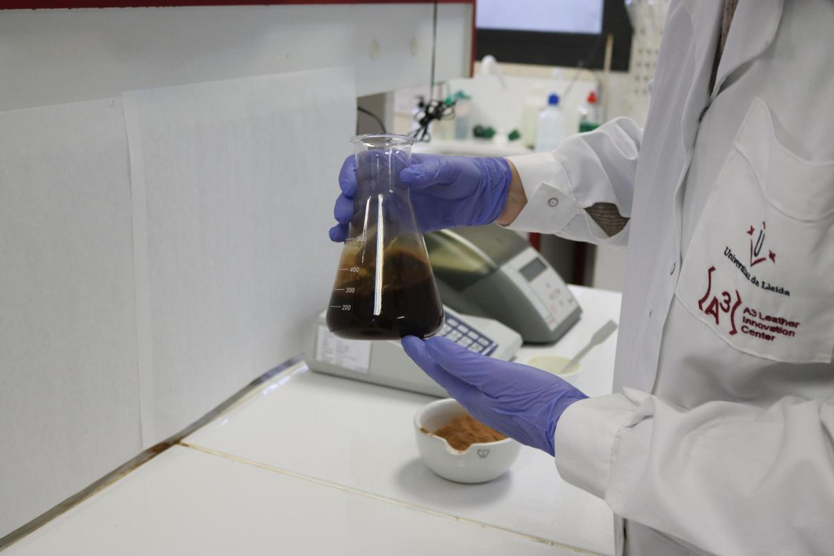 Investigació per usar el residu de les olives per a usos comsètics