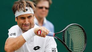 David Ferrer.